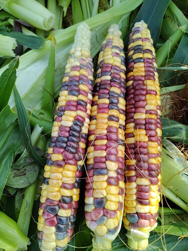 IMG_20250921_162309_HDR