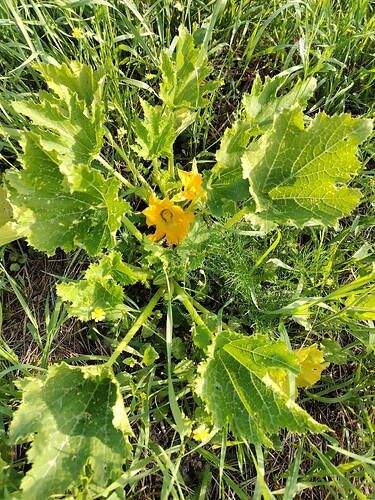 IMG_20250728_083541_HDR