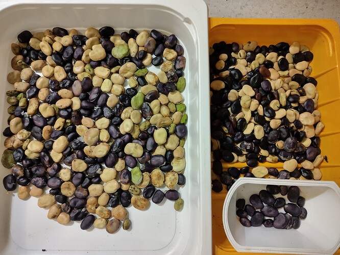 IMG_20251003_101920_HDR