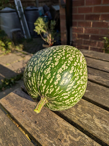 PXL_20251116_122352777