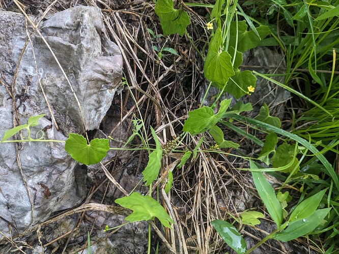 PXL_20250721_212718976.RAW-01.COVER