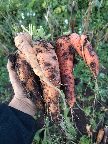 IMG_20250922_191454_HDR