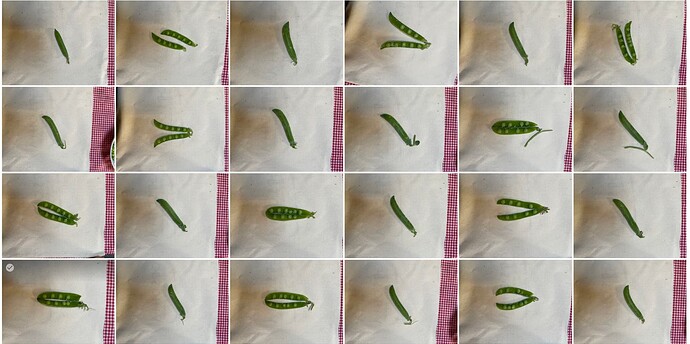 Screenshot 2025-06-23 alle 15.13.37