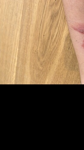 73B3FAB9-7EDB-4B8B-8E20-BB534926E752