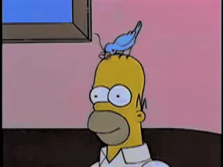hair