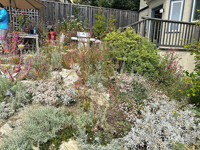 Back door viewed from the back