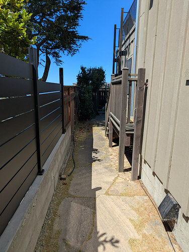 Back alley: clearing, pruning and staking