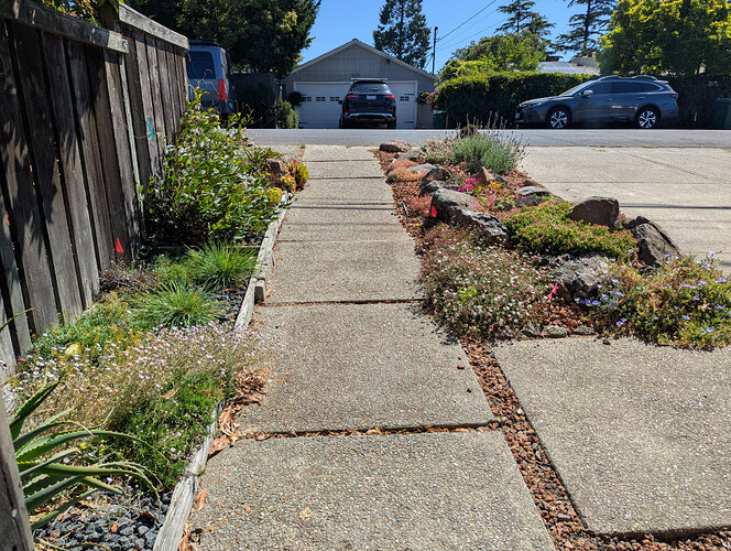 Rock gardens