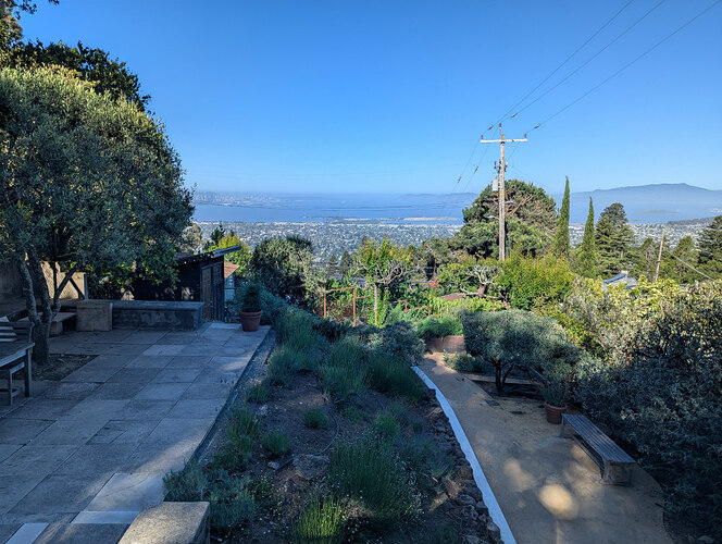 Fire breaks throughout the yard