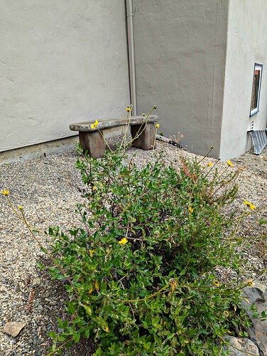 Detail: stone bench on the left side of house