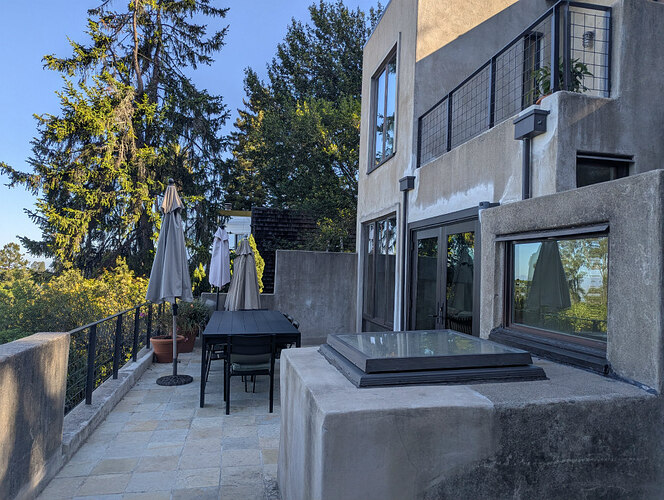 Tall trees near the upper deck