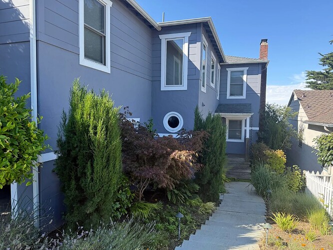 Before picture, side of the house