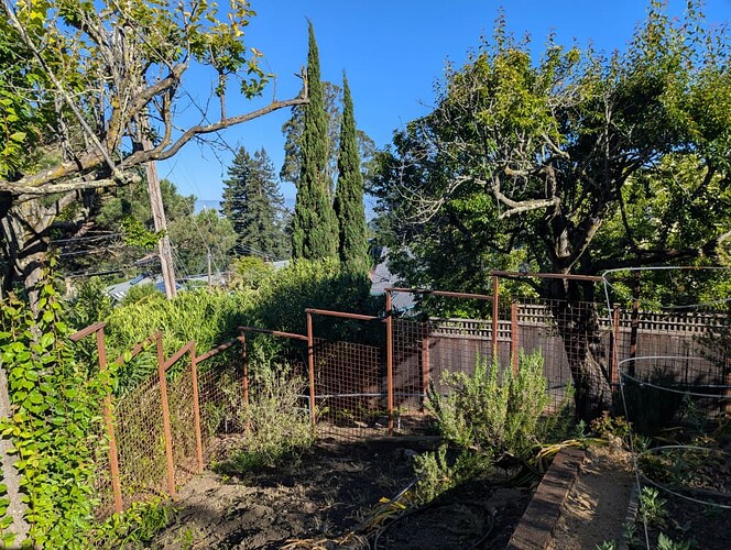 All-metal fence at the opposite side of garden from the structure