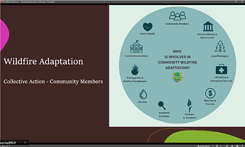 Wildfire Adaptation