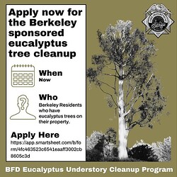 BFDEucalyptusProgram