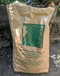 PXL_20250627_19052052