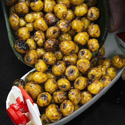 FOX-SPOMB-WITH-TIGERNUTS