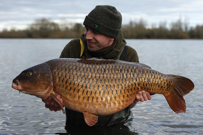 john cash dinton common