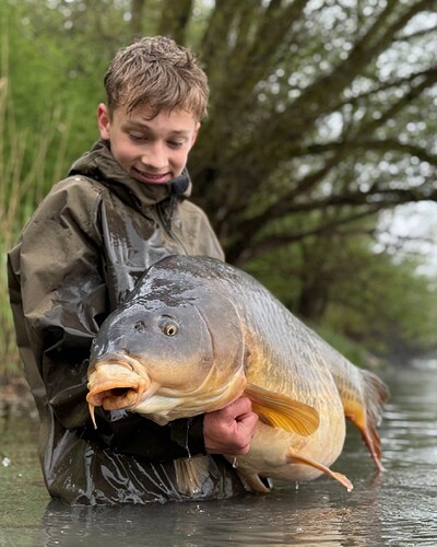lukas pb common