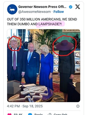 1000045272
