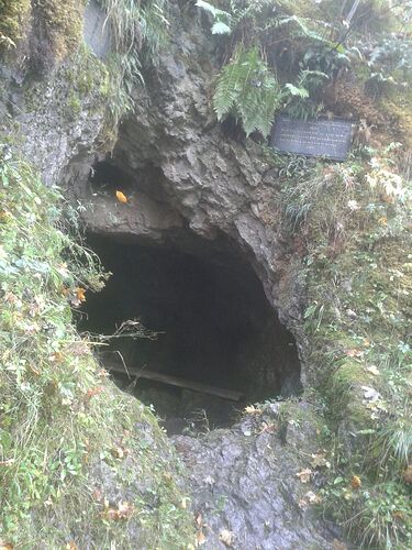 IMG_20231213_205130_128