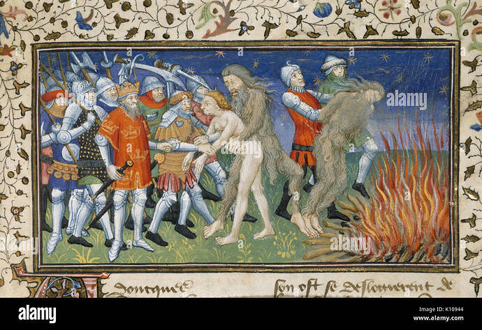 alexander-burns-a-wild-man-la-vraye-histoire-du-bon-roy-alixandre-K10944