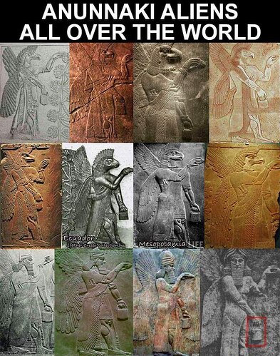 IMG_20220511_084100_915