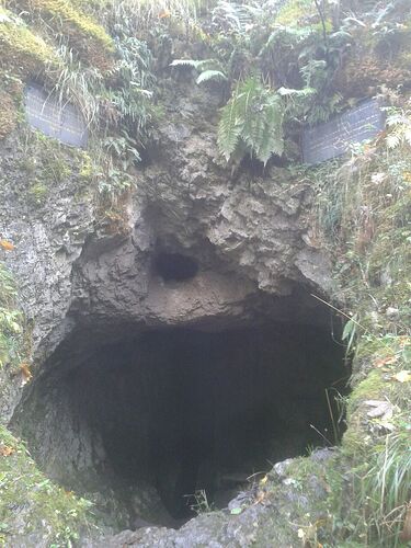 IMG_20231213_205130_194