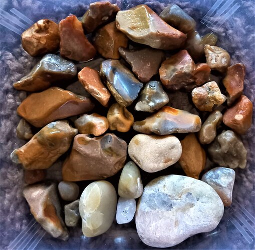 IMG_20230510_062716_862