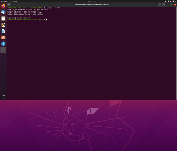 Screenshot from 2020-12-17 17-05-16