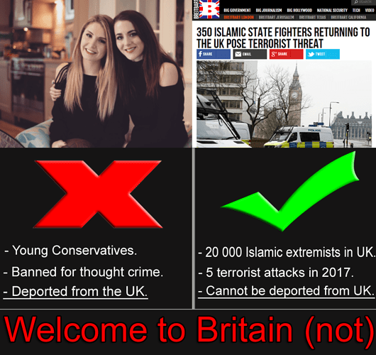 https://i.redd.it/t35evp208cl01.png