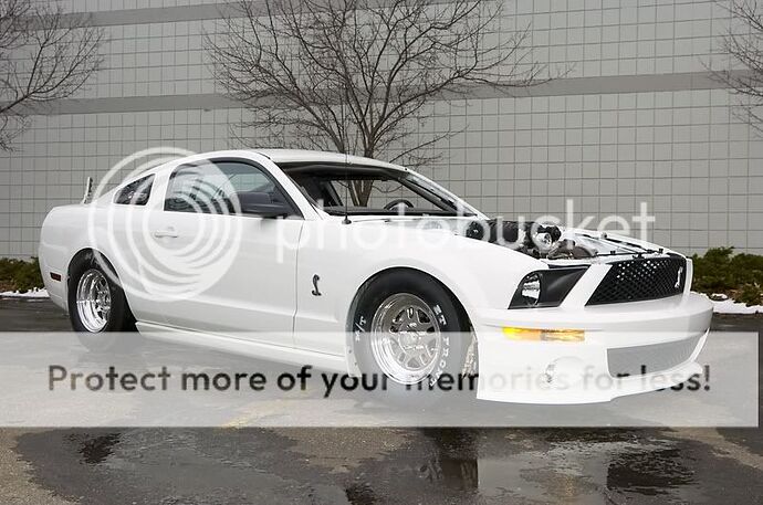 http://i82.photobucket.com/albums/j262/MikeThePhotoGuy/Don%20Walsh/_DOC9950.jpg