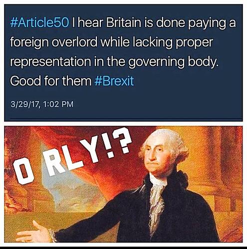 https://i.redd.it/q45i5gps7foy.jpg