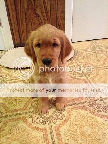 http://i103.photobucket.com/albums/m126/Paulysplitx/IMG_08811.jpg