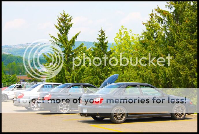http://i10.photobucket.com/albums/a125/apex32/winglessparty2.jpg