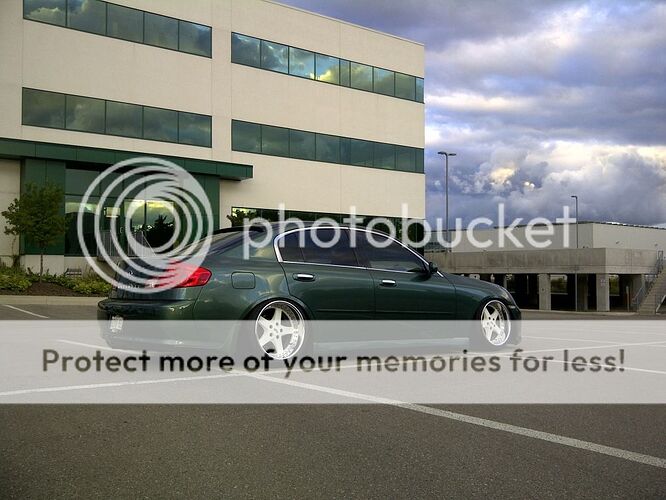 http://i204.photobucket.com/albums/bb314/blainangus/IMG-20120908-01240.jpg