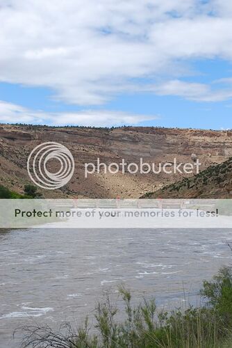 http://i767.photobucket.com/albums/xx317/ultradriver1000/Grand%20Junction/DSC_0230.jpg