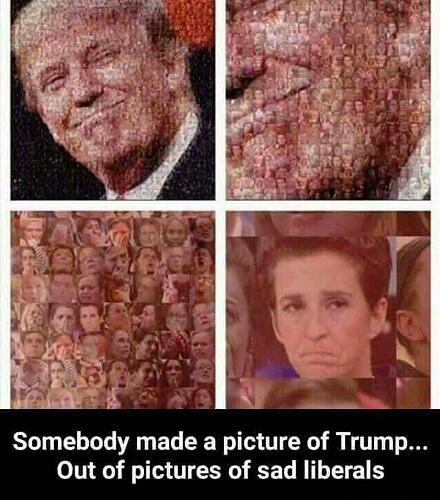 https://i.redd.it/8122qo5o678y.jpg
