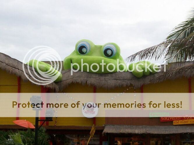 http://i263.photobucket.com/albums/ii160/RicPaul/033.jpg