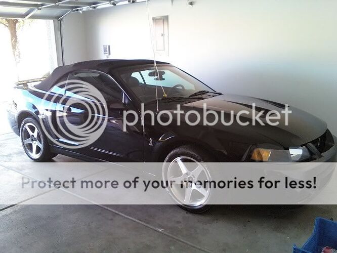 http://i42.photobucket.com/albums/e325/Boomin99GT/Cobra.jpg