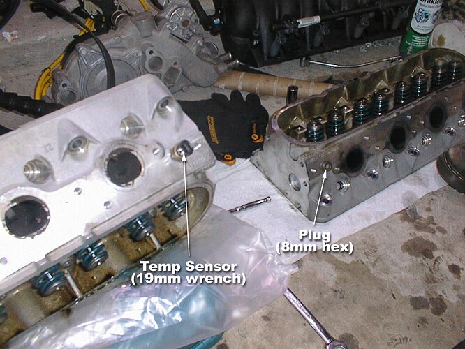 http://www.ls1howto.com/howto/fbody/heads.cam.pulley/pics/tempsensor_and_plug.jpg