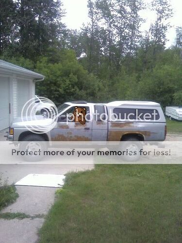 http://img.photobucket.com/albums/v336/bigmack0001/joels_truck_pedo_bear.jpg