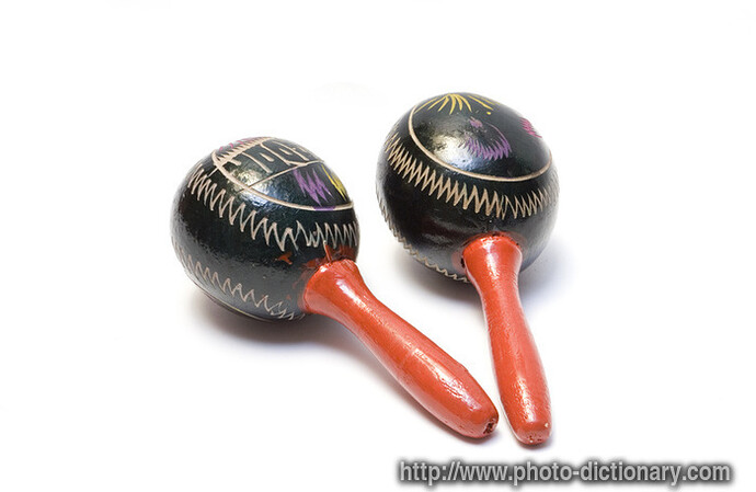 http://www.photo-dictionary.com/photofiles/list/2737/9182maraca.jpg