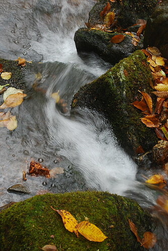 http://farm5.static.flickr.com/4098/5434573803_53f61e34d3_z.jpg