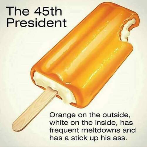 https://i.redd.it/213hpmvadz401.jpg