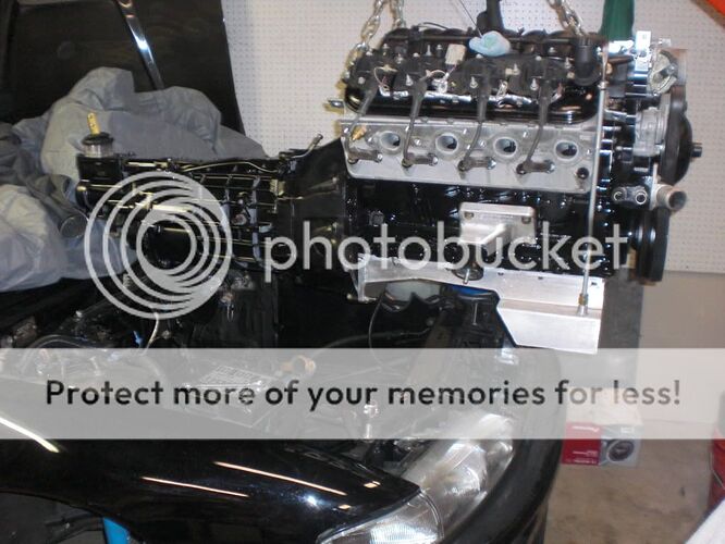 http://i894.photobucket.com/albums/ac144/brodyson240/Misc658.jpg