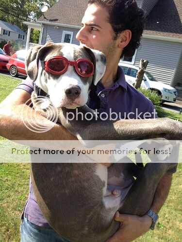 http://i1023.photobucket.com/albums/af352/italiano1390/EEC7F080-A0E4-4AE1-8E67-66A7CE5E04B8-784-000000472922788C_zpsd768c7bd.jpg