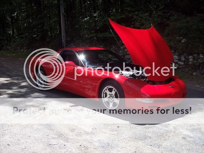 http://i110.photobucket.com/albums/n101/adam1721/100_3157.jpg