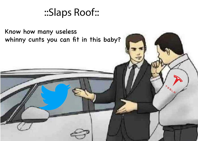 MPo0p4vbSrPL