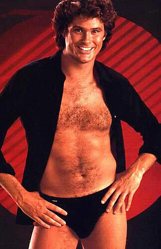 http://irestidelcarlino.files.wordpress.com/2006/12/david-hasselhoff-07.jpg